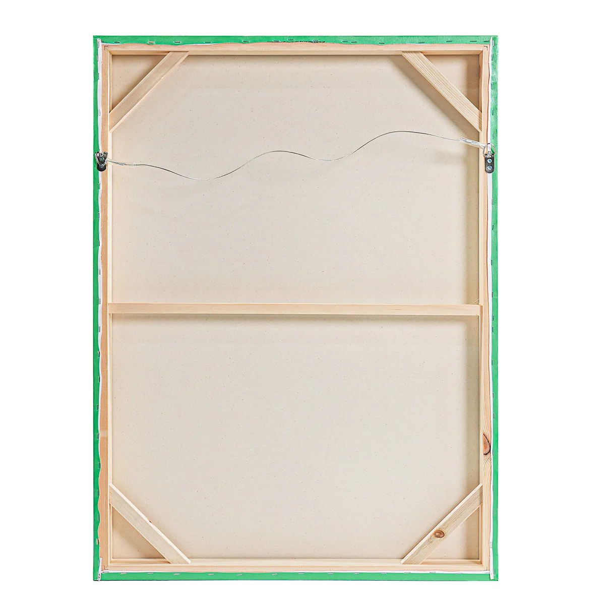 Green Budgie Enhanced Canvas Print - Image 6